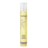 Caudalie Концентрат антицеллюлитный для похудения