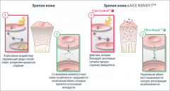 Gatineau Age Benefit Комплексный регенерирующий крем день/ночь