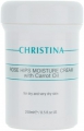 CHRISTINA Rose Hips Moisture Cream with Carrot Oil Увлажняющий крем с маслом шиповника и моркови д/сухой кожи 250 мл