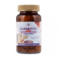 Solgar Kangavites Детские витамины со вкусом ягод, 120 шт